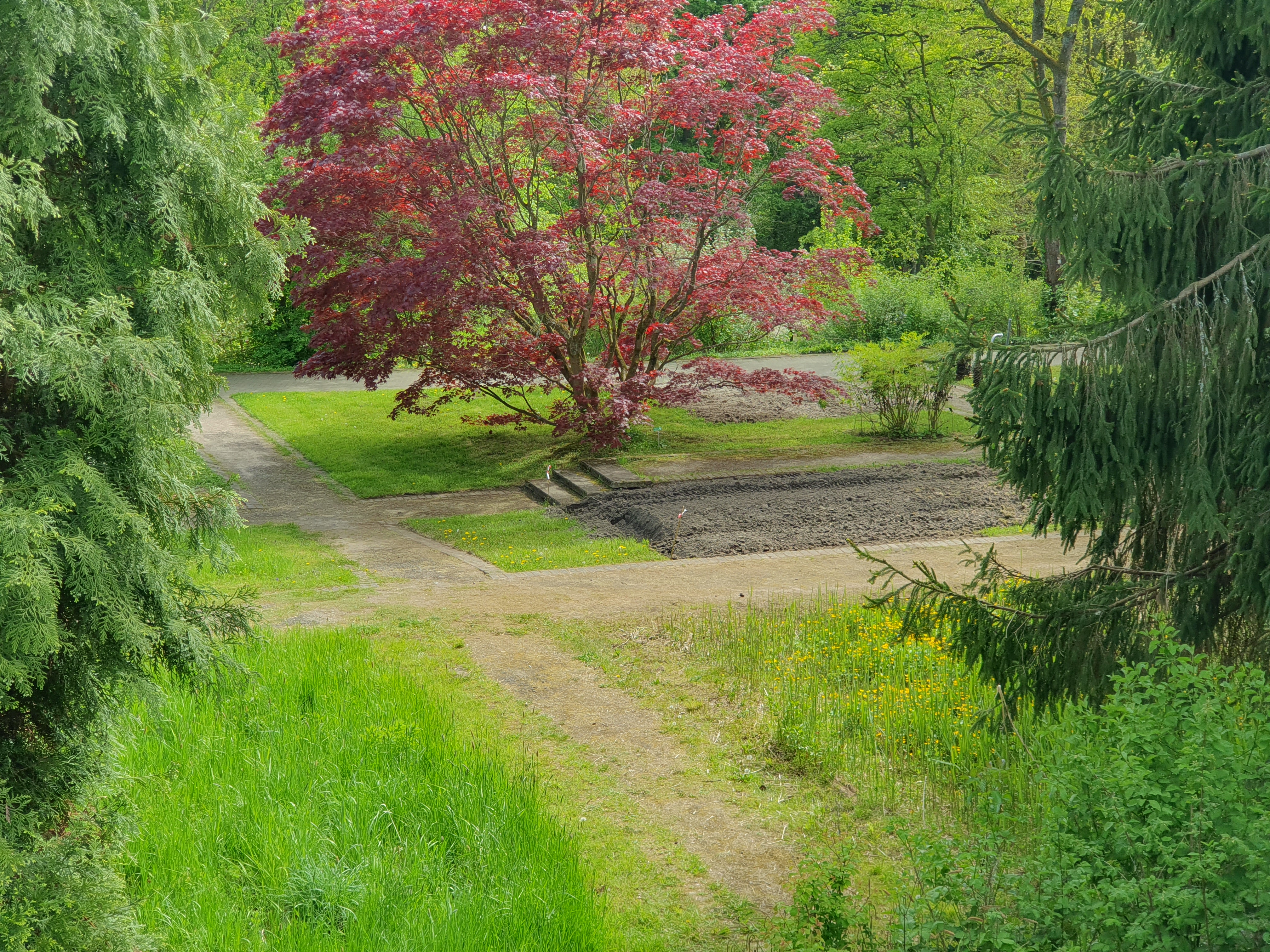Experiment-Flächen im Botanischen Garten der RUB