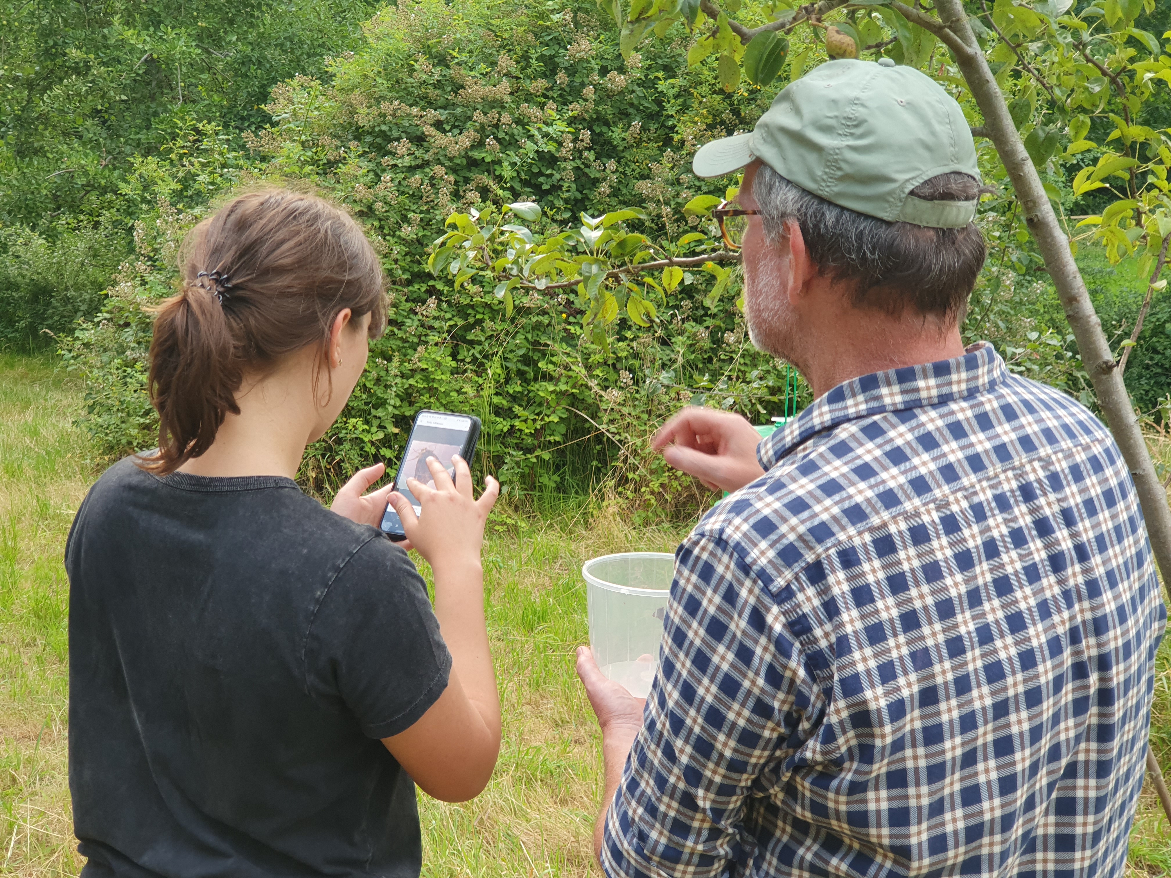 Das Bild zeigt zwei Personen bei der Bestimmung von Faltern