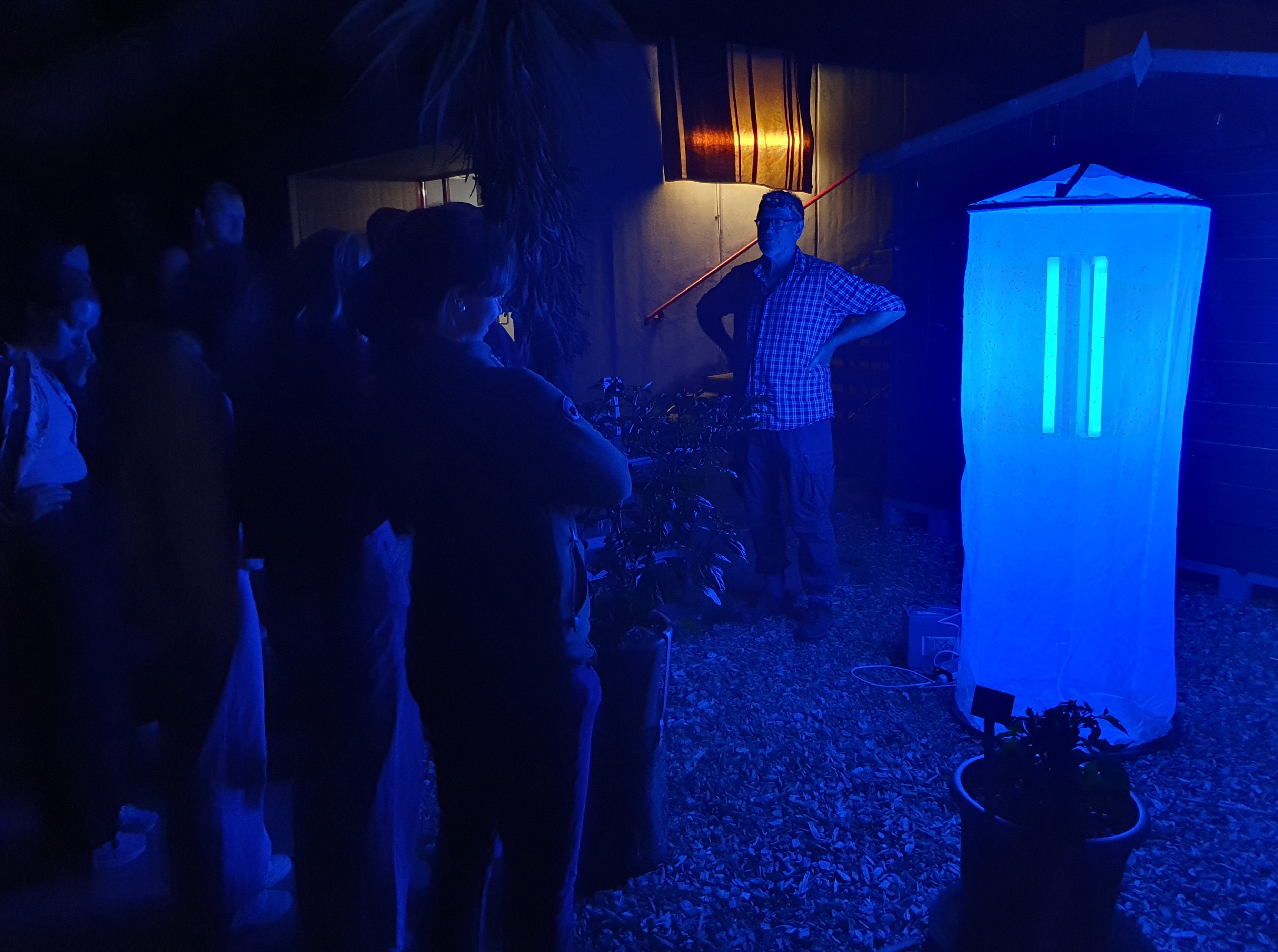 Das Bild zeigt eine Gruppe beim Anlocken von Nachtfaltern