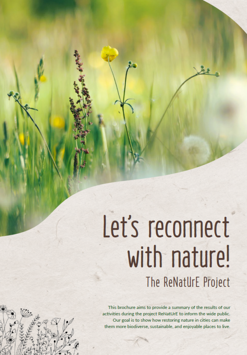 Screenshot 2026-01-14 145009