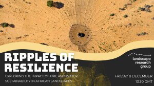 Ripples Of Resilience