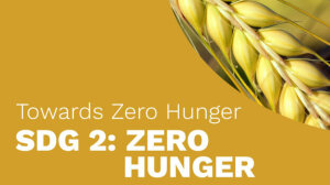 Sdg-2-zero-hunger-teaserimg