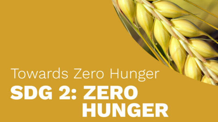 MOOC Modul SDG2 Zero Hunger Ist Online mooc-modul-sdg2-zero-hunger-ist-online