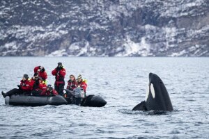 01 Schlauchboot Orca
