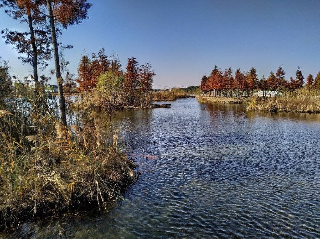 Naturreservat im ländlichen Bereich des Dorfes Shuiku, Shanghai 